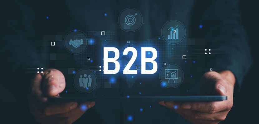 what-are-b2b-web-serviceswhat-are-b2b-web-services